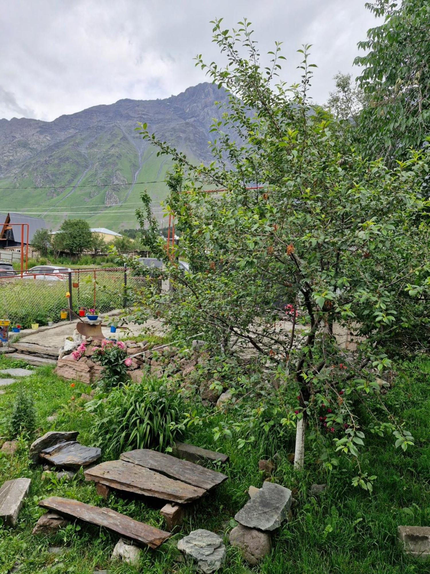 Maiko Guest House Kazbegi Exterior foto