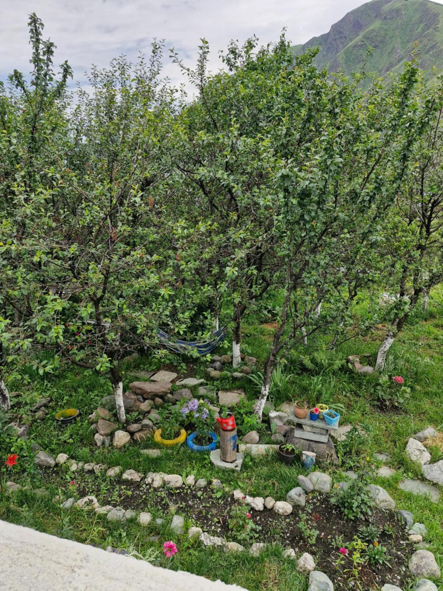 Maiko Guest House Kazbegi Exterior foto