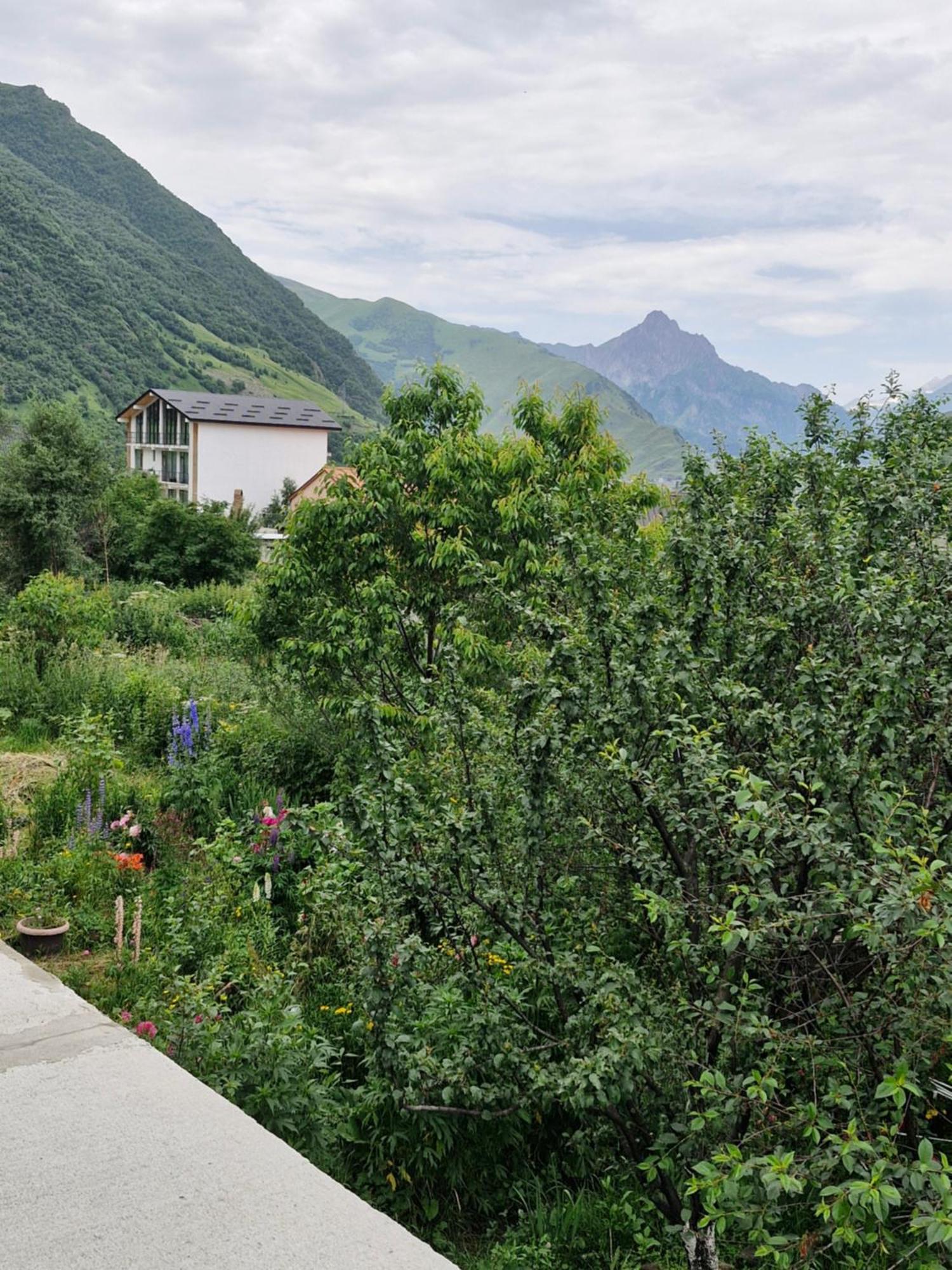 Maiko Guest House Kazbegi Exterior foto