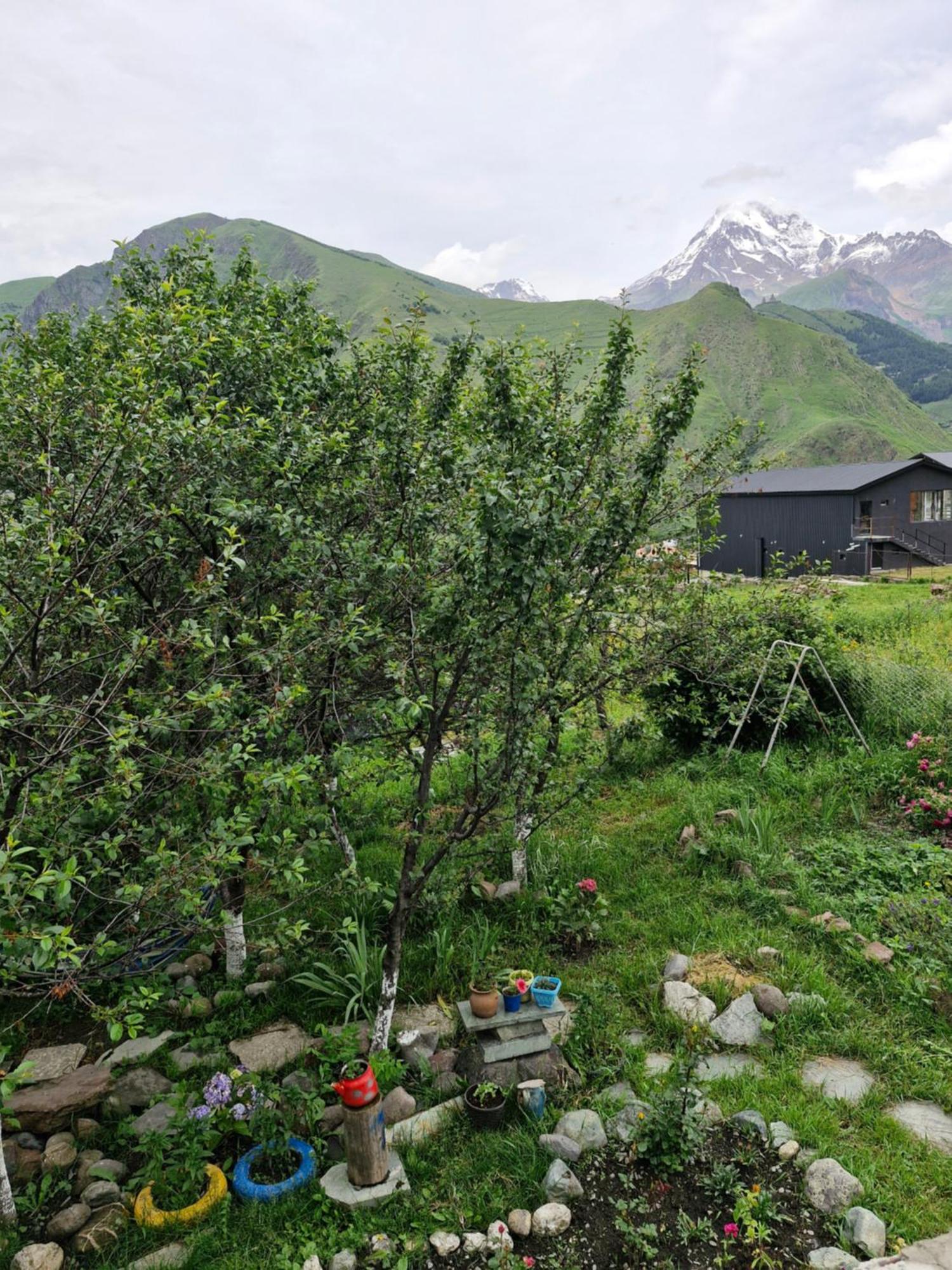 Maiko Guest House Kazbegi Exterior foto