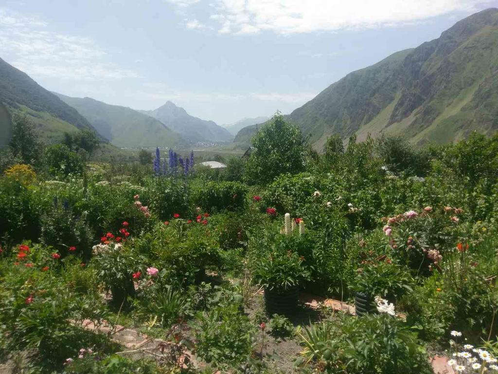 Maiko Guest House Kazbegi Exterior foto